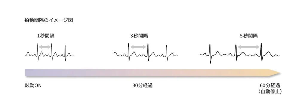 時間の経過とともに鼓動の間隔が少しずつ広がる仕組み