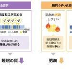 研究結果概要図