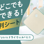 ドライウェルミニ